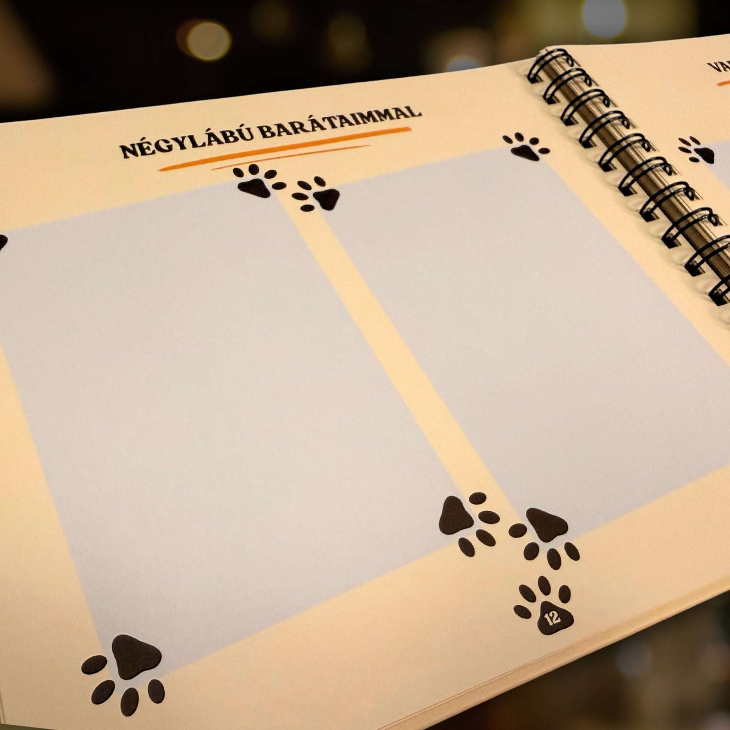 Cicanapló egyik, 12. belső oldala "Négylábú barátaimmal" címmel és két beragasztható képnek kihagyott jelölő hellyel.