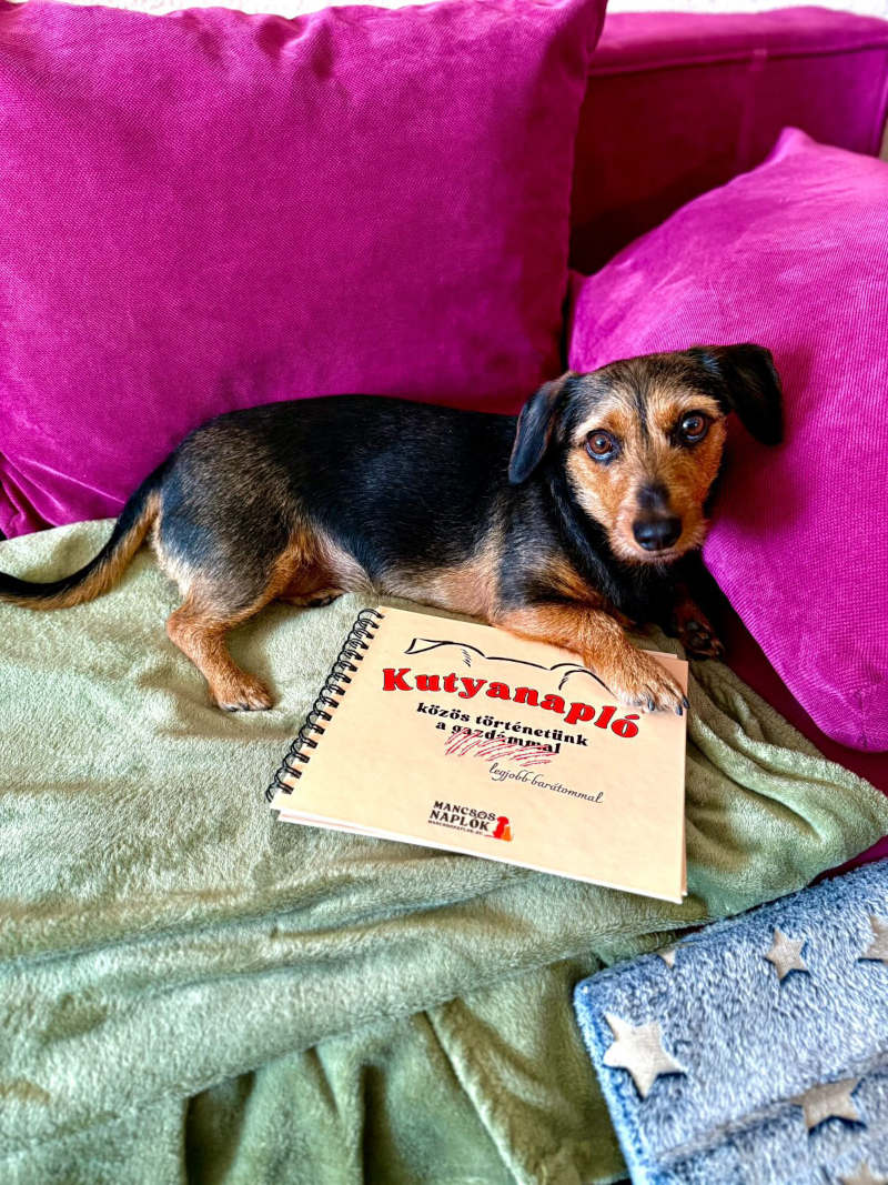 Kutyanapló a Mancsos Naplók sorozat részeként, mögötte egy kutya fekszik a kanapén és ráteszi egyik mancsát a naplóra.