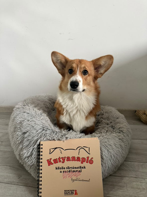 Kutyanapló a Mancsos Naplók sorozat részeként, mögötte egy kutya ül szétálló fülekkel.