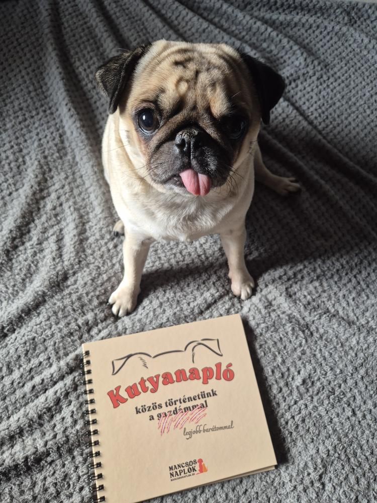 Kutyanapló a Mancsos Naplók sorozat részeként, mögötte egy kutya ül és aranyosan kilóg a nyelve.