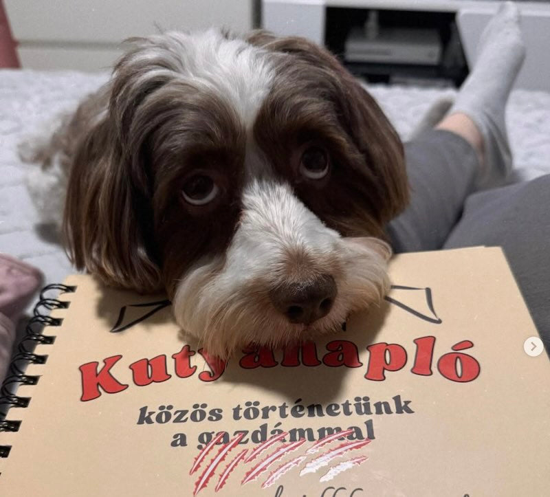 Kutyanapló a Mancsos Naplók sorozat részeként, egy cuki kutya pedig ráteszi a fejét a naplóra. 