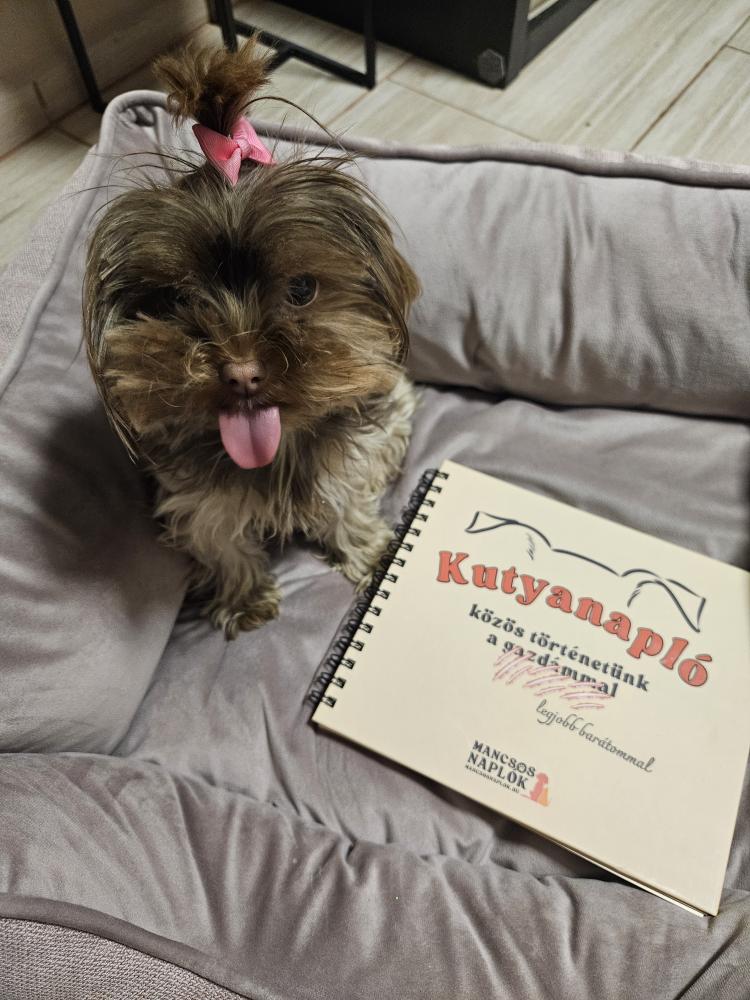 Kutyanapló a Mancsos Naplók sorozat részeként, mellette egy kutya ül kilógó nyelvvel és masnival a fején.