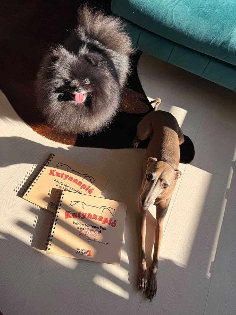 Két darab Kutyanapló a Mancsos Naplók sorozat részeként, mellettük egy kutya fekszik és egy kutya ül.